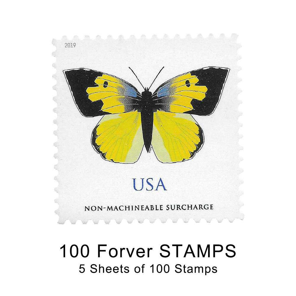 100PCS-Butterfly