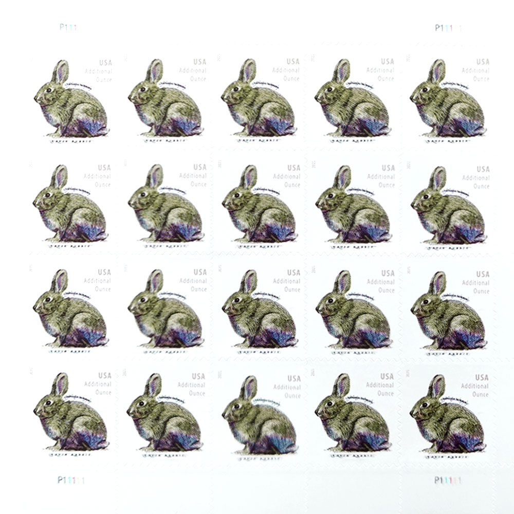 Brush Rabbit 2021 - 5 Sheets / 100 Pcs