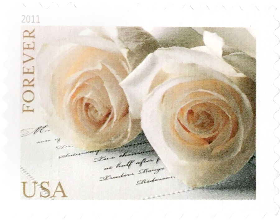 100PCS-Wedding Roses 2011