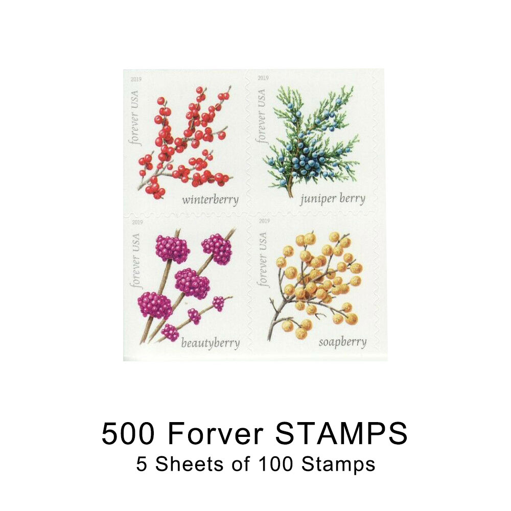 100PCS-Winter Berries