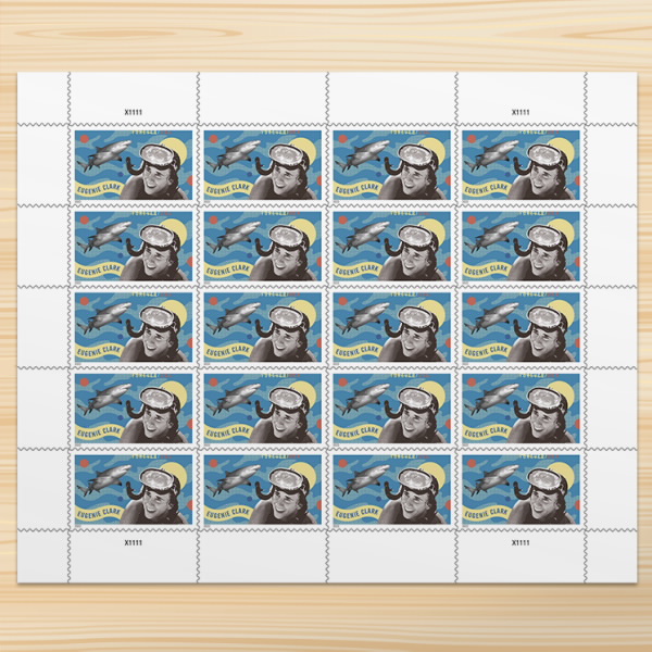 $19.98/100PCS 82 Styles