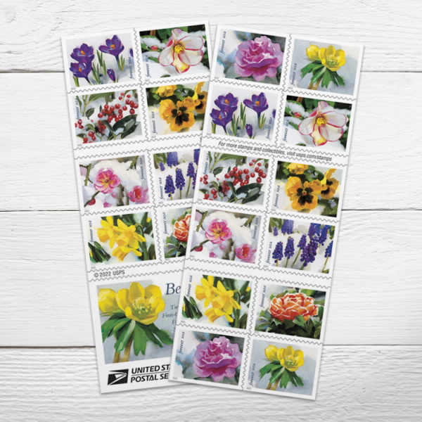 $19.98/100PCS 82 Styles