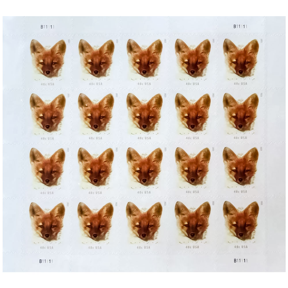 $198/1100PCS 82 Styles