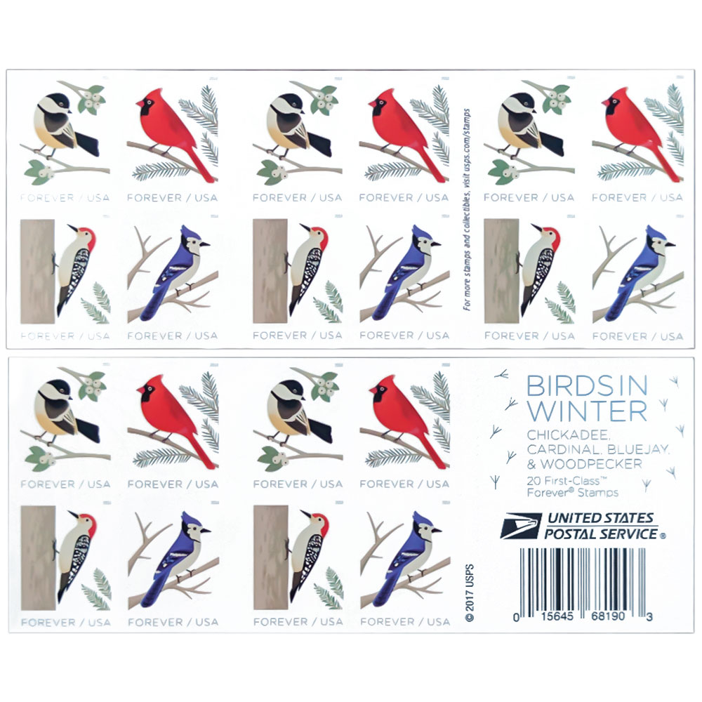 Birdsin Winter