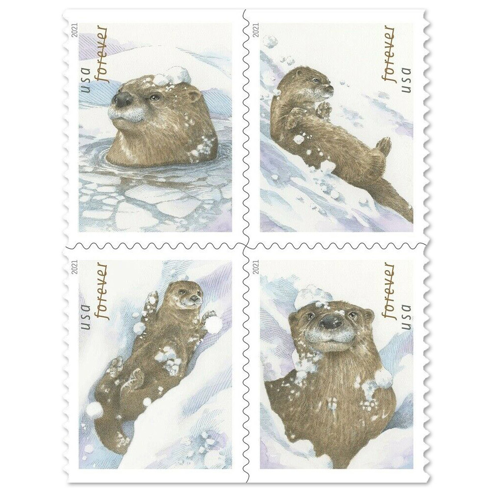 $19.98/100PCS 82 Styles
