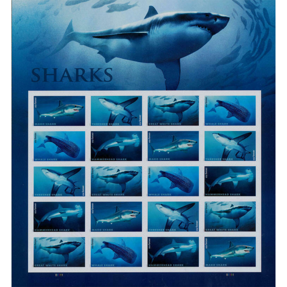 $19.98/100PCS 82 Styles
