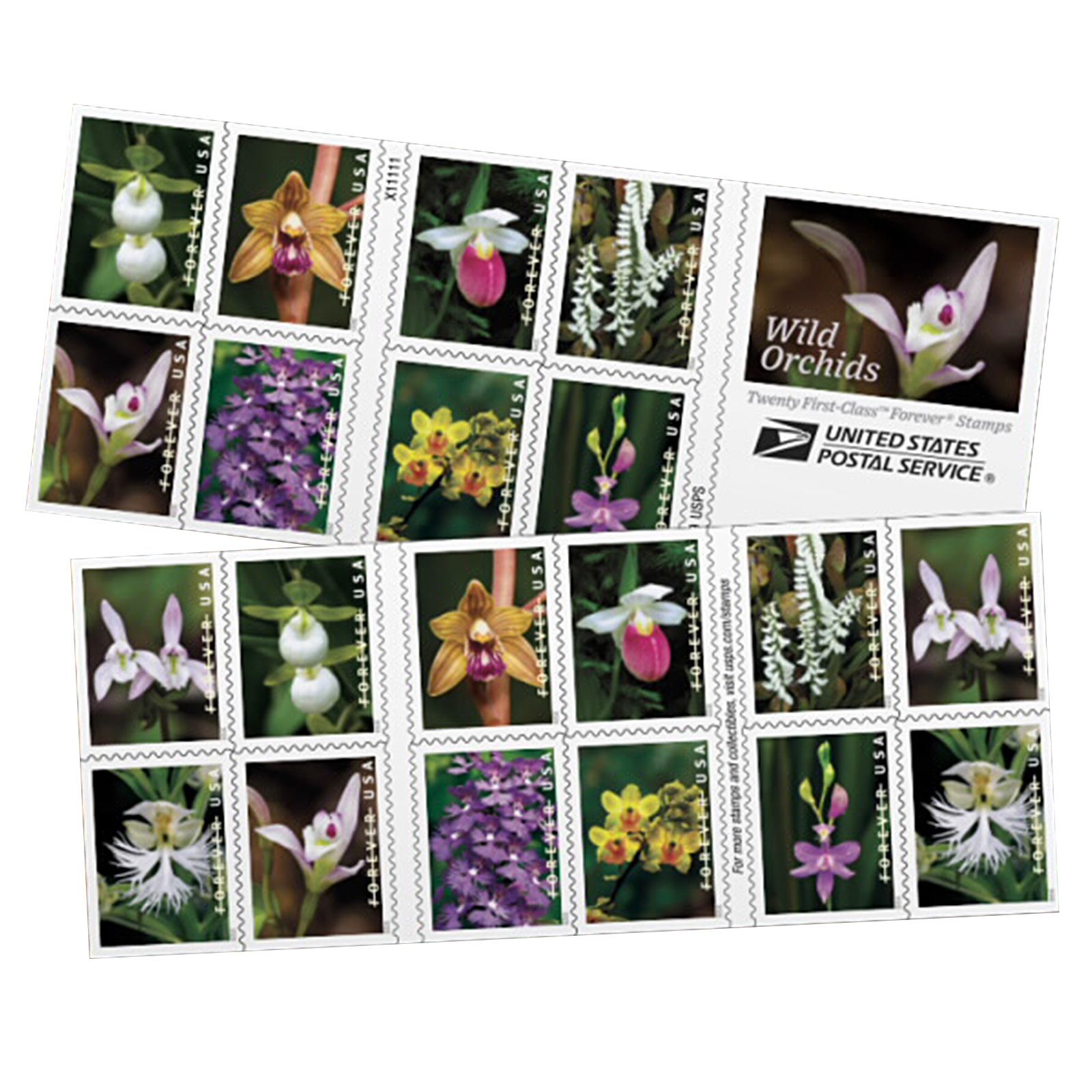 $19.98/100PCS 82 Styles