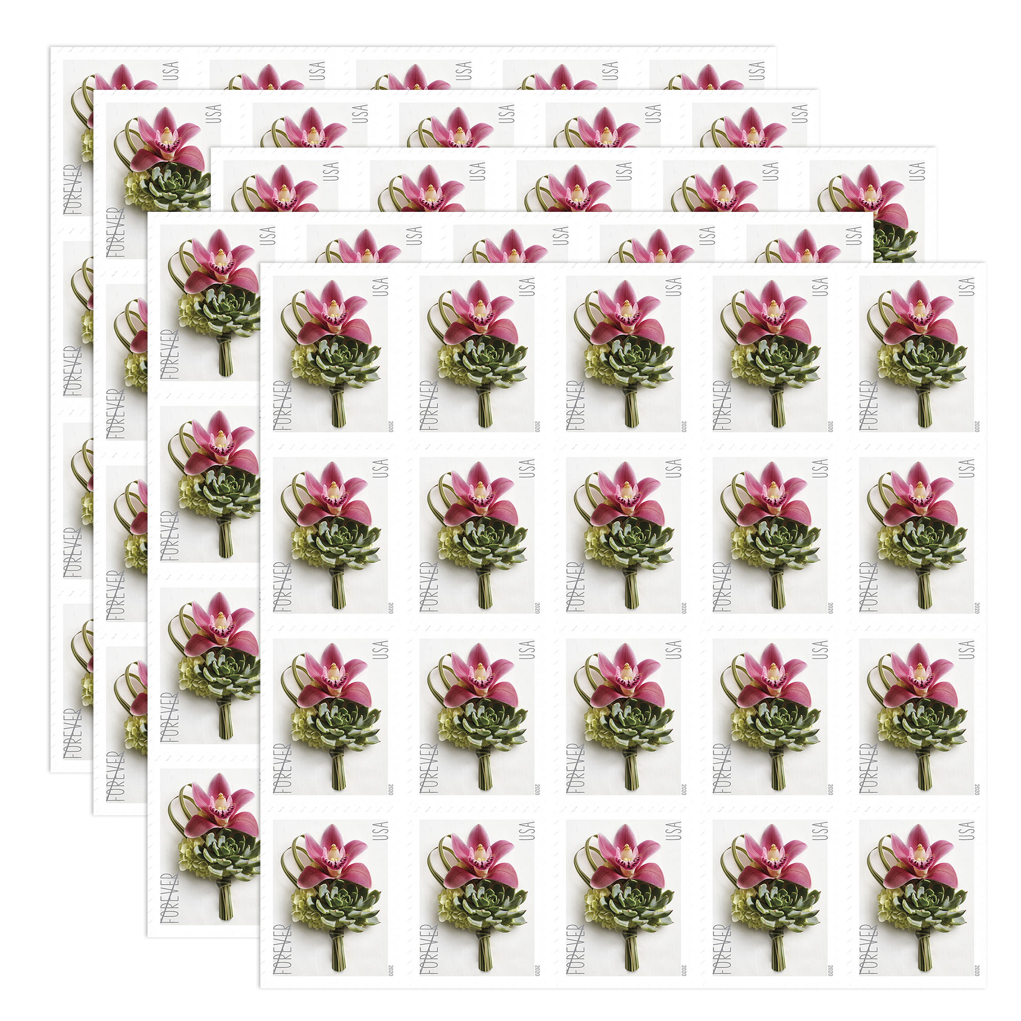 $19.98/100PCS 82 Styles