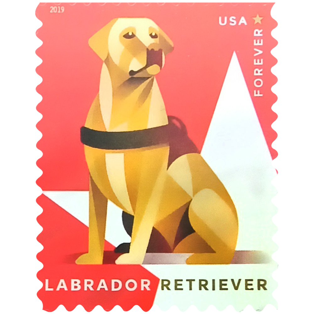 Military Working Dogs 2019