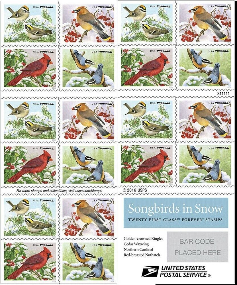 $27.99/100PCS 200+ Styles