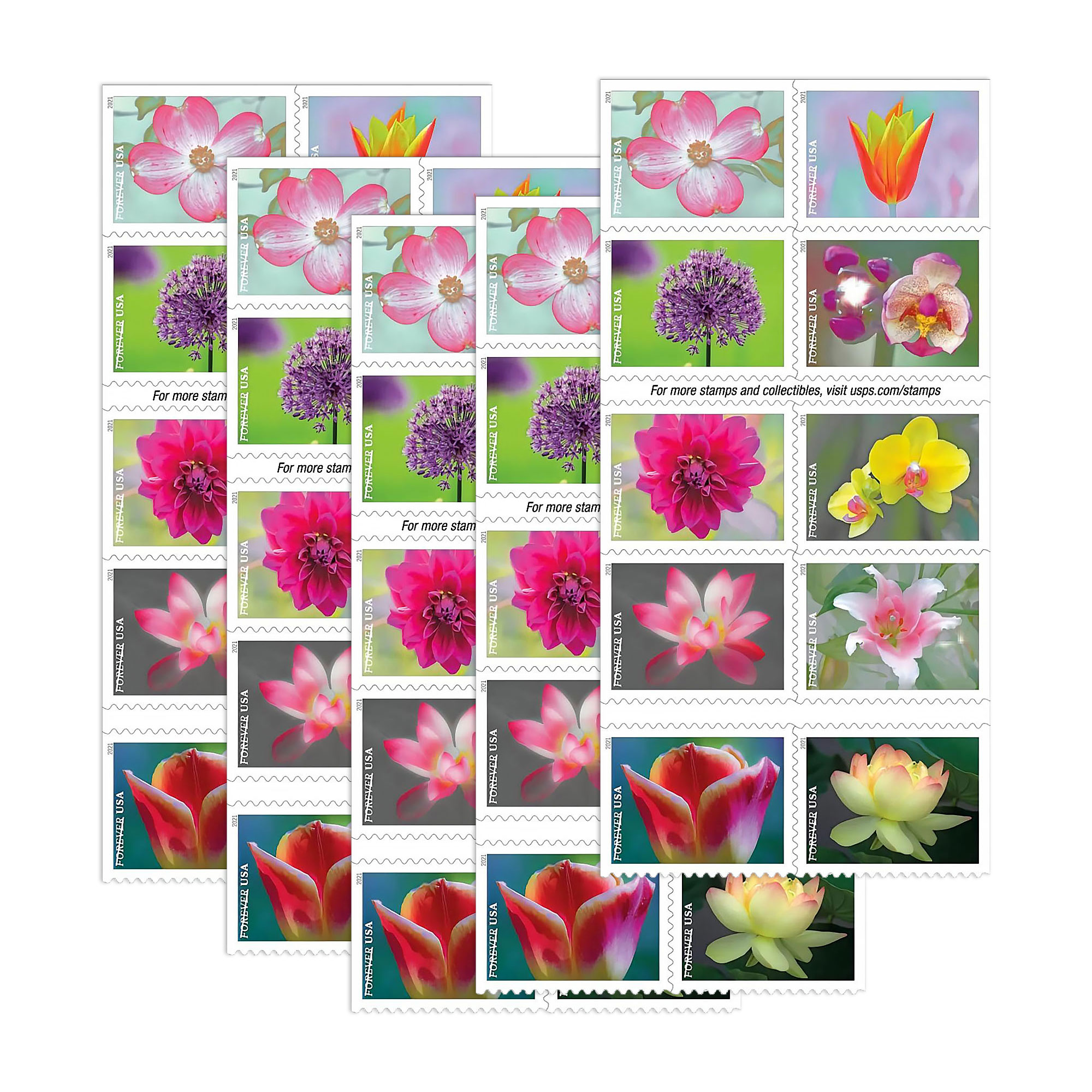 $888/6000PCS 200+ Styles