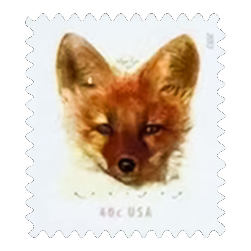 $27.99/100PCS 200+ Styles