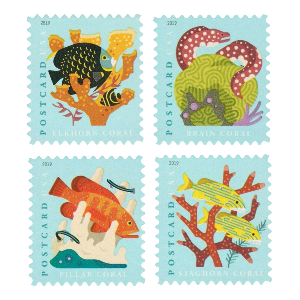 Coral Reefs Postcard