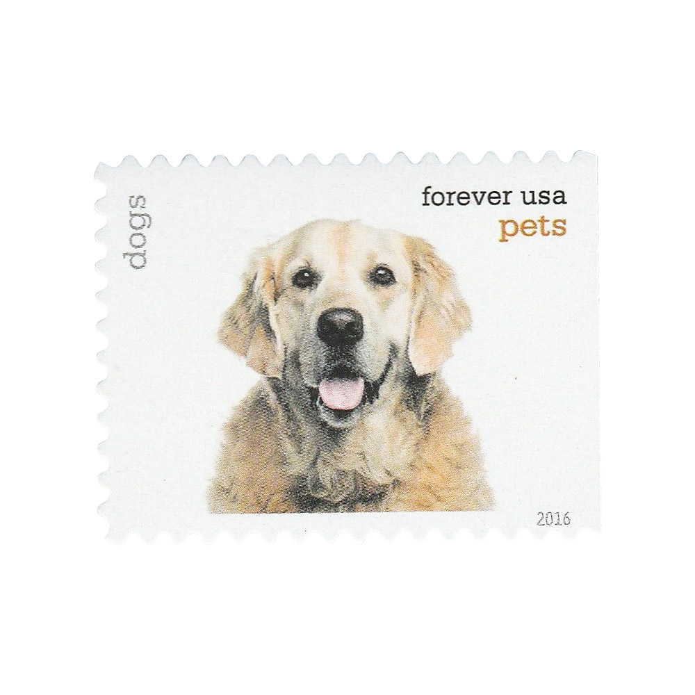 Pets