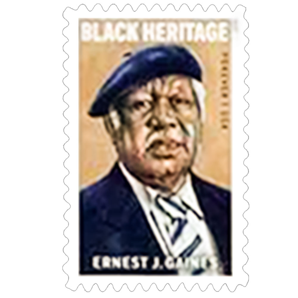 $27.99/100PCS 200+ Styles