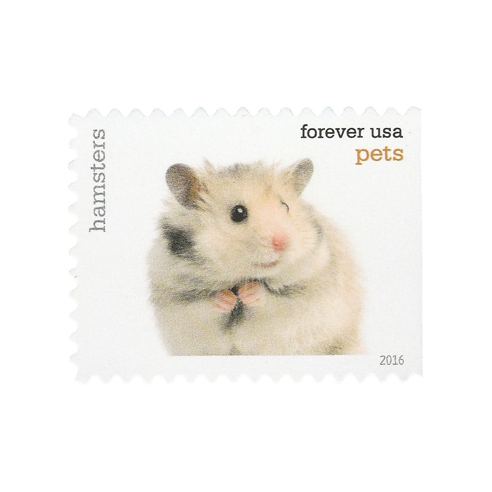 Pets