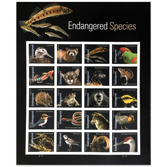 Endangered Species. 100 Pcs