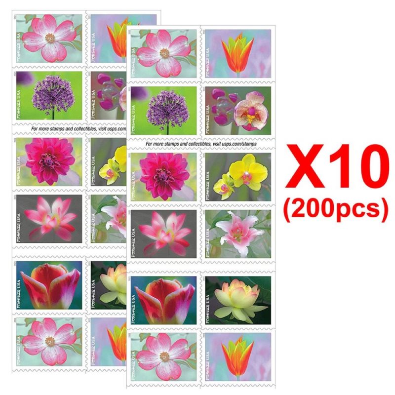 Garden Beauty 2021. 200 Pcs