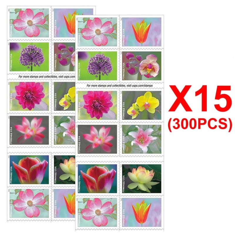 Garden Beauty 2021. 300 Pcs