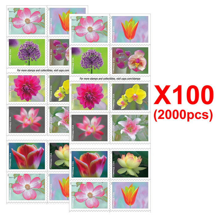 Garden Beauty 2021. 2000 Pcs