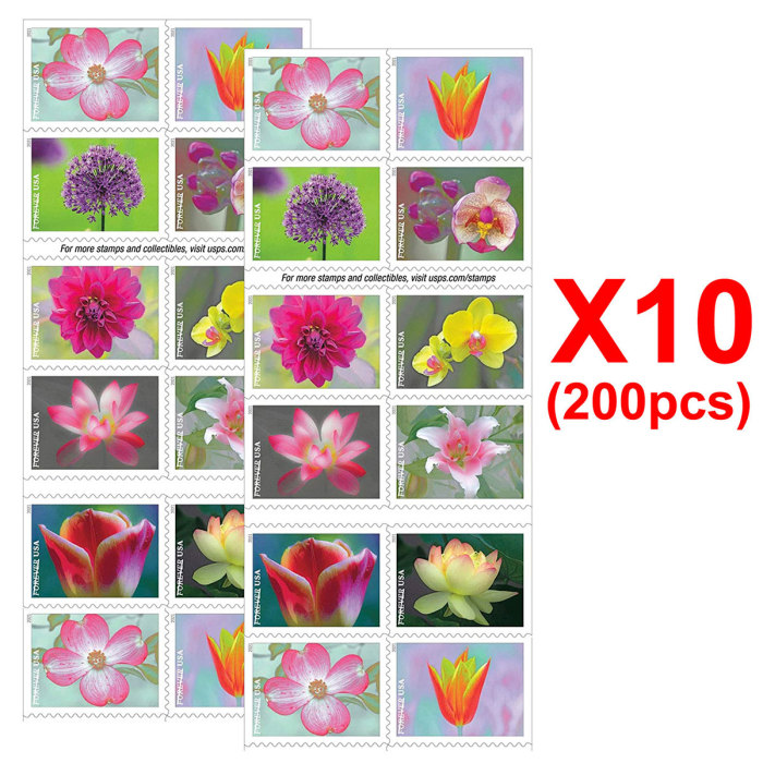Garden Beauty 2021. 200 Pcs