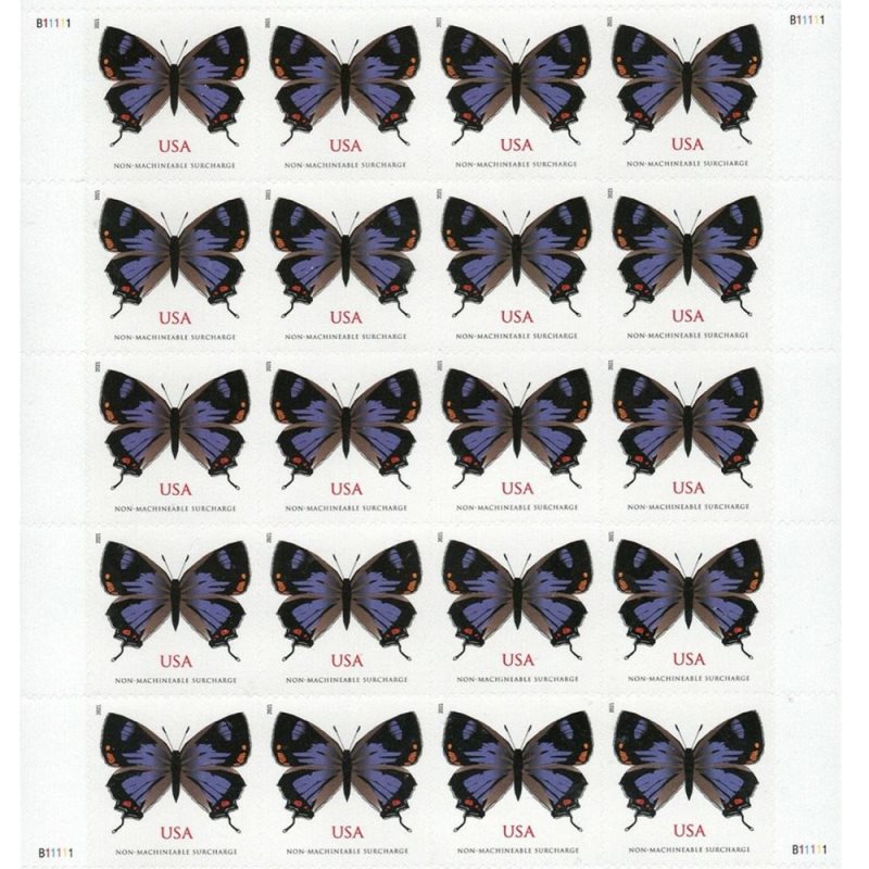 Colorado Hairstreak 2021