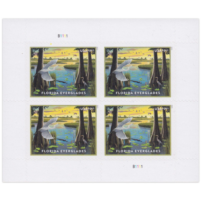 Florida Everglades 2023