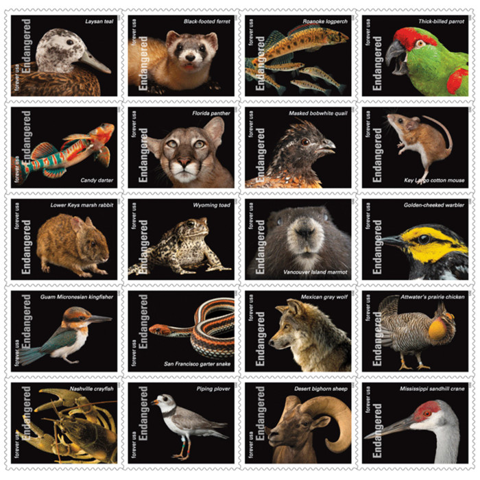 Endangered Species. 100 Pcs